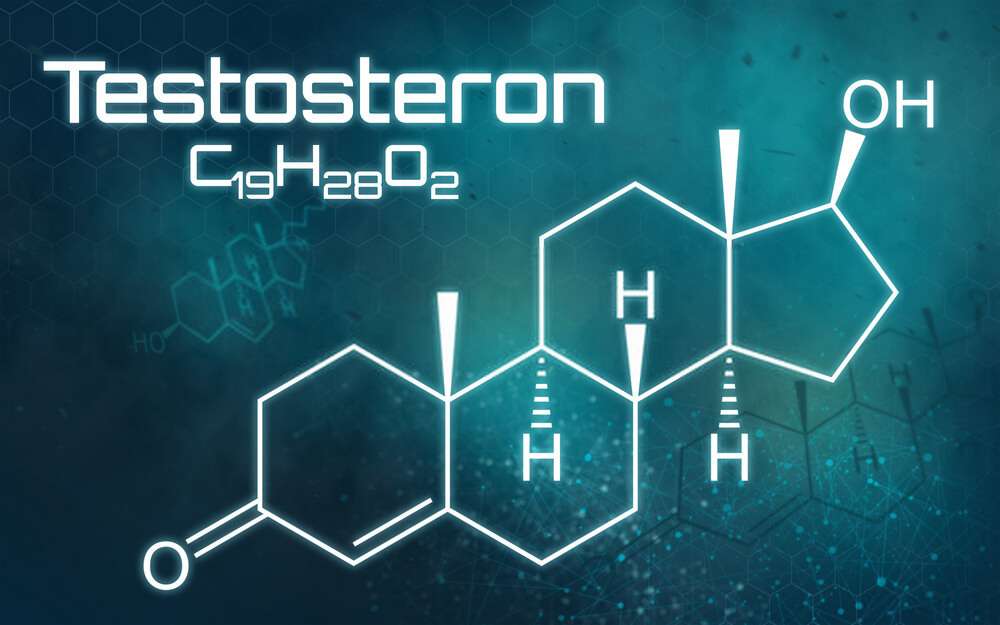 testosteron
