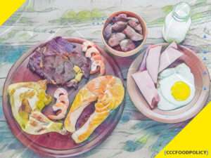 dieta dukan