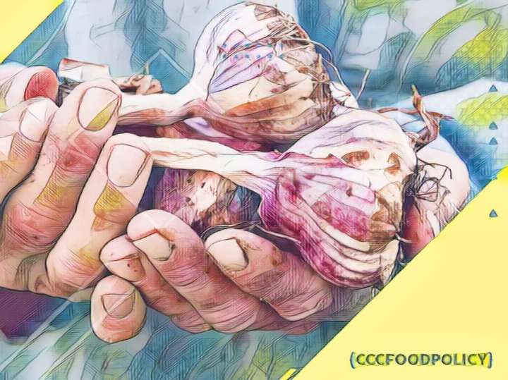 alimente care ucid paraziții intestinali