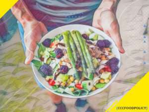 dieta paleo testosteron