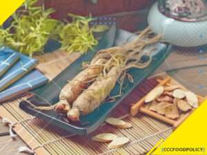 ginseng testosteron