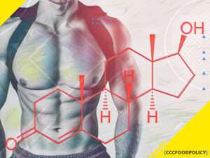 testosteron de masă musculară