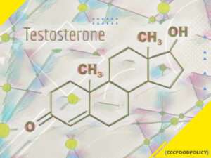 testosteron