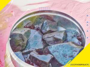 shilajit brut și testosteron